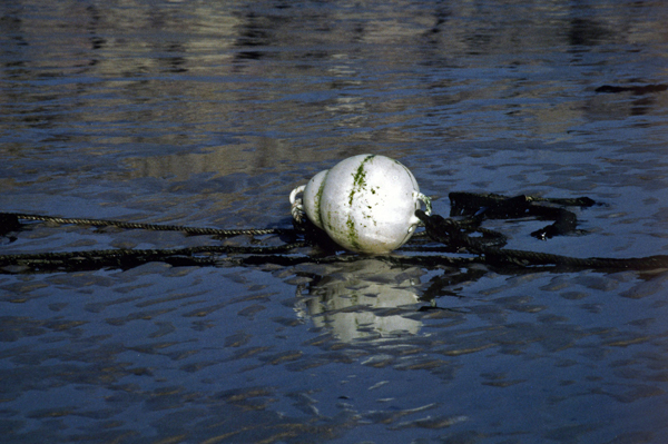 Candeur marine