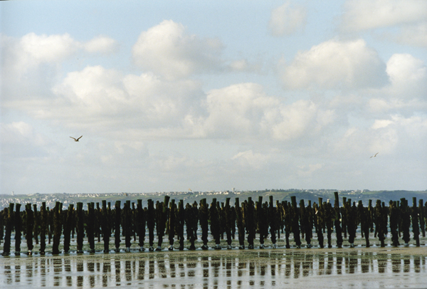 Et la Mer Engendra des Guerriers