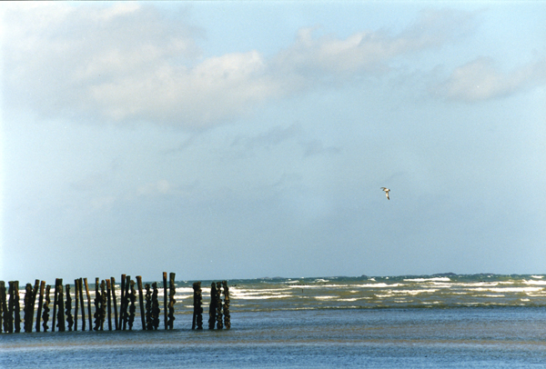 Femmes de Marins