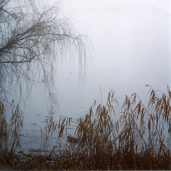 Froidure